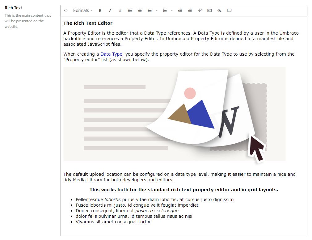 Rich Text Editor - Content