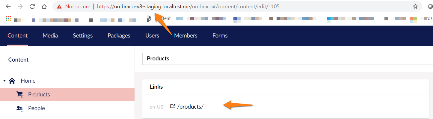 Staging domain only