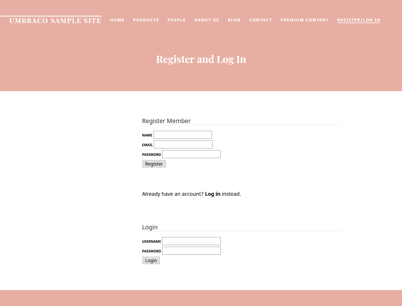 Login page frontend