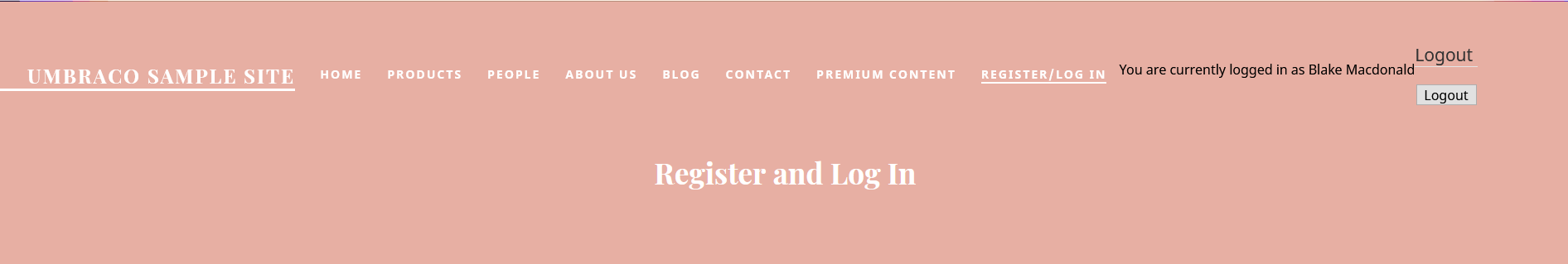 Login partial frontend