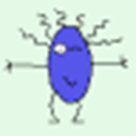 steve_cdi