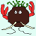 louie_nz
