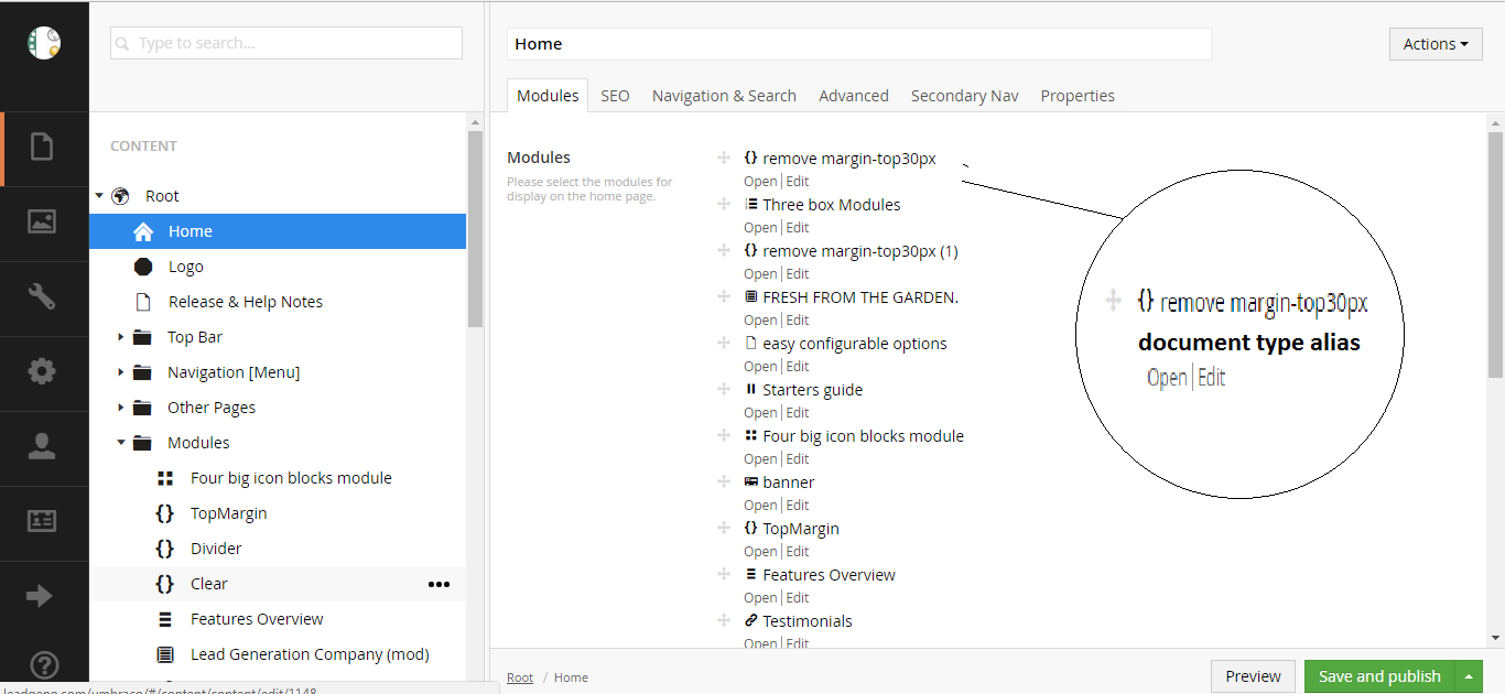 Image below explains where exactly I want to show document type name or alias of selected node.