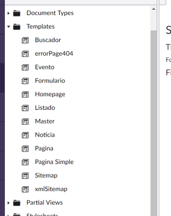 This is the result after the package install