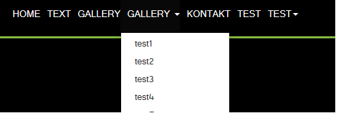 Here you can see that the menu items that contain more than one shows twice