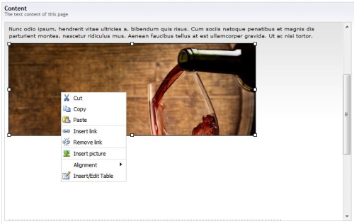 screenshot1