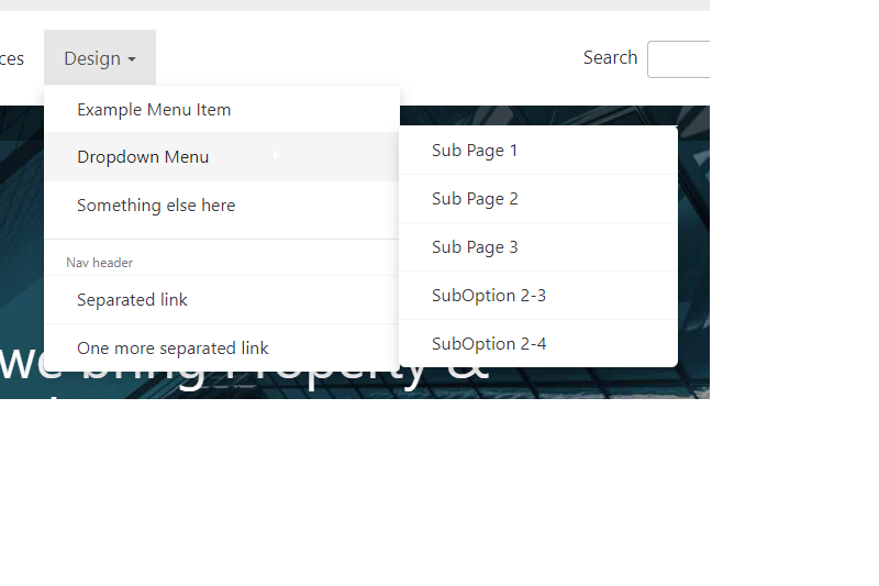 Example Image