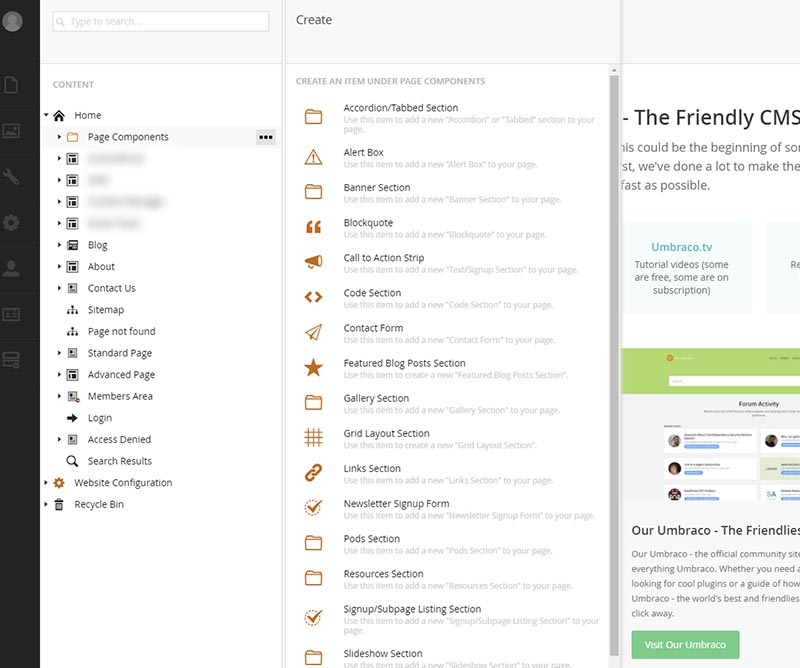 Different way of giving content options in back office.  How?? 