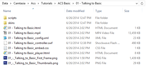 Camtasia Video Folder Content