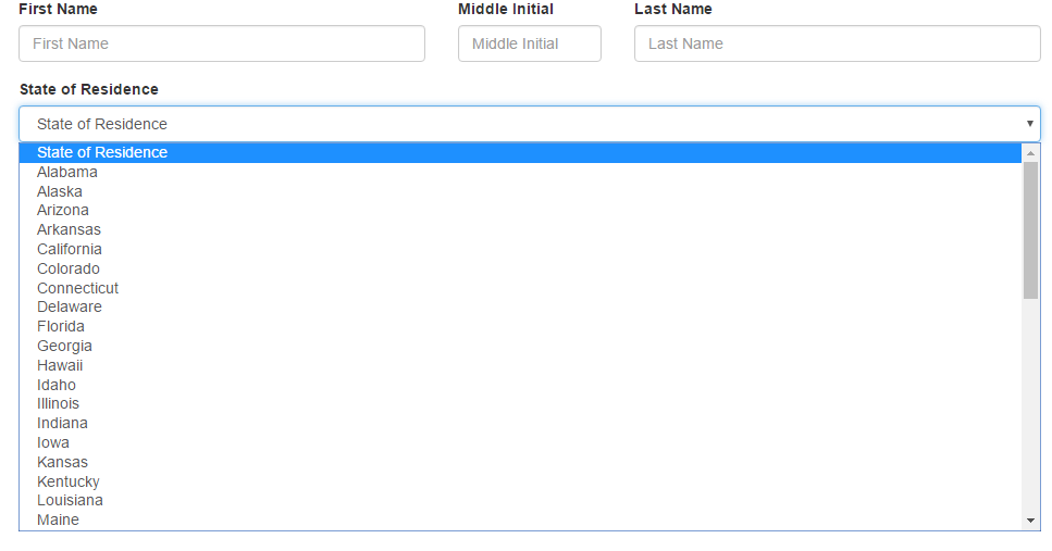 View Drop Down Values