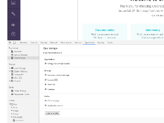 Clear Site Data