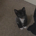 Charlie
