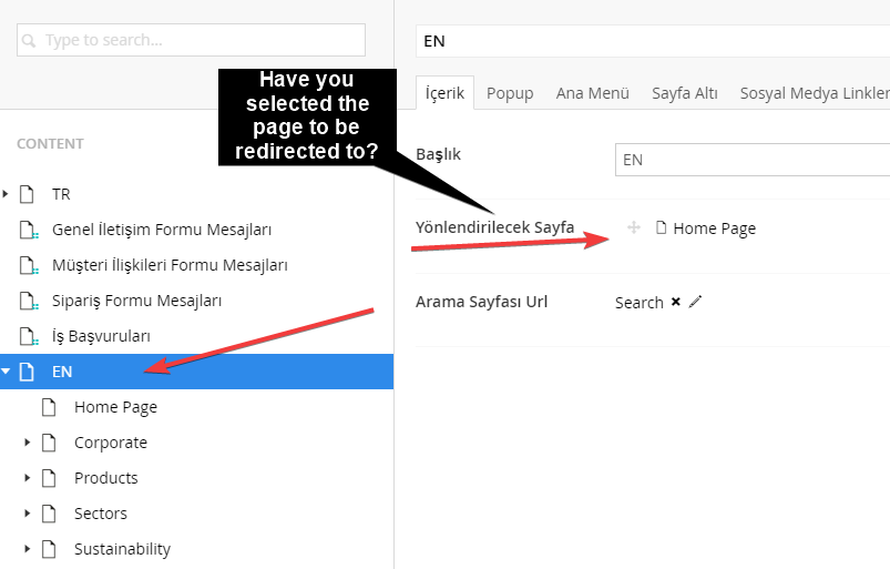 Redirected Page