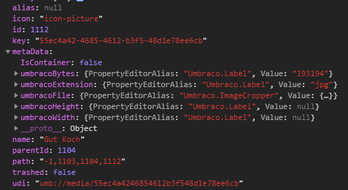 Screenshot of developer console after catching the promise
