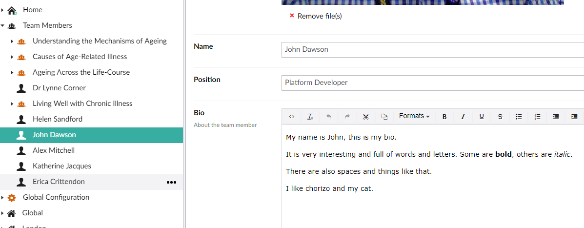 "Bio" property within doctype Team Member 