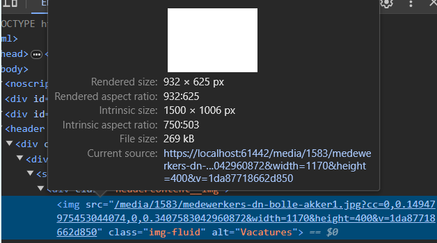 the image how it looks when inspecting on the browser