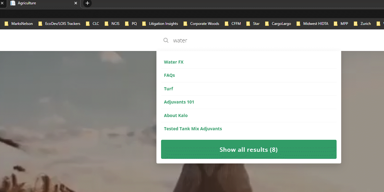 Frontend