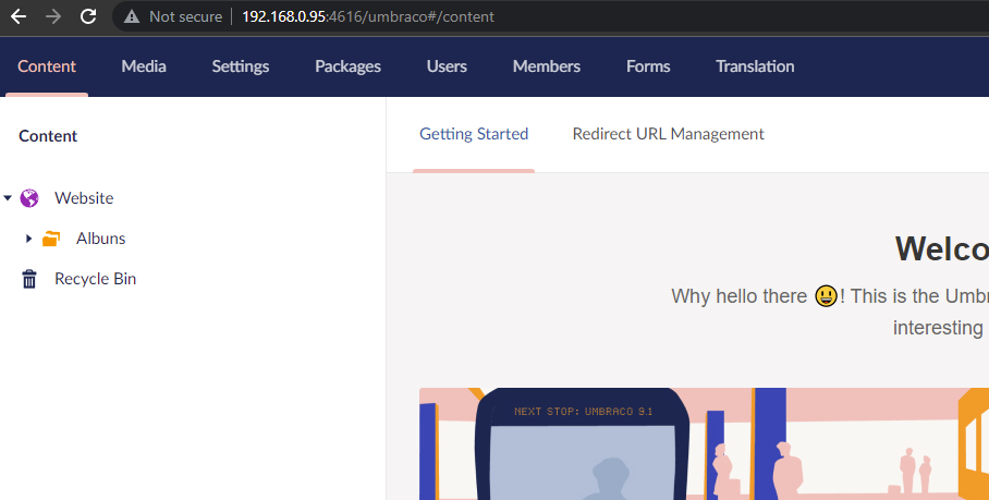 umbraco running on the container