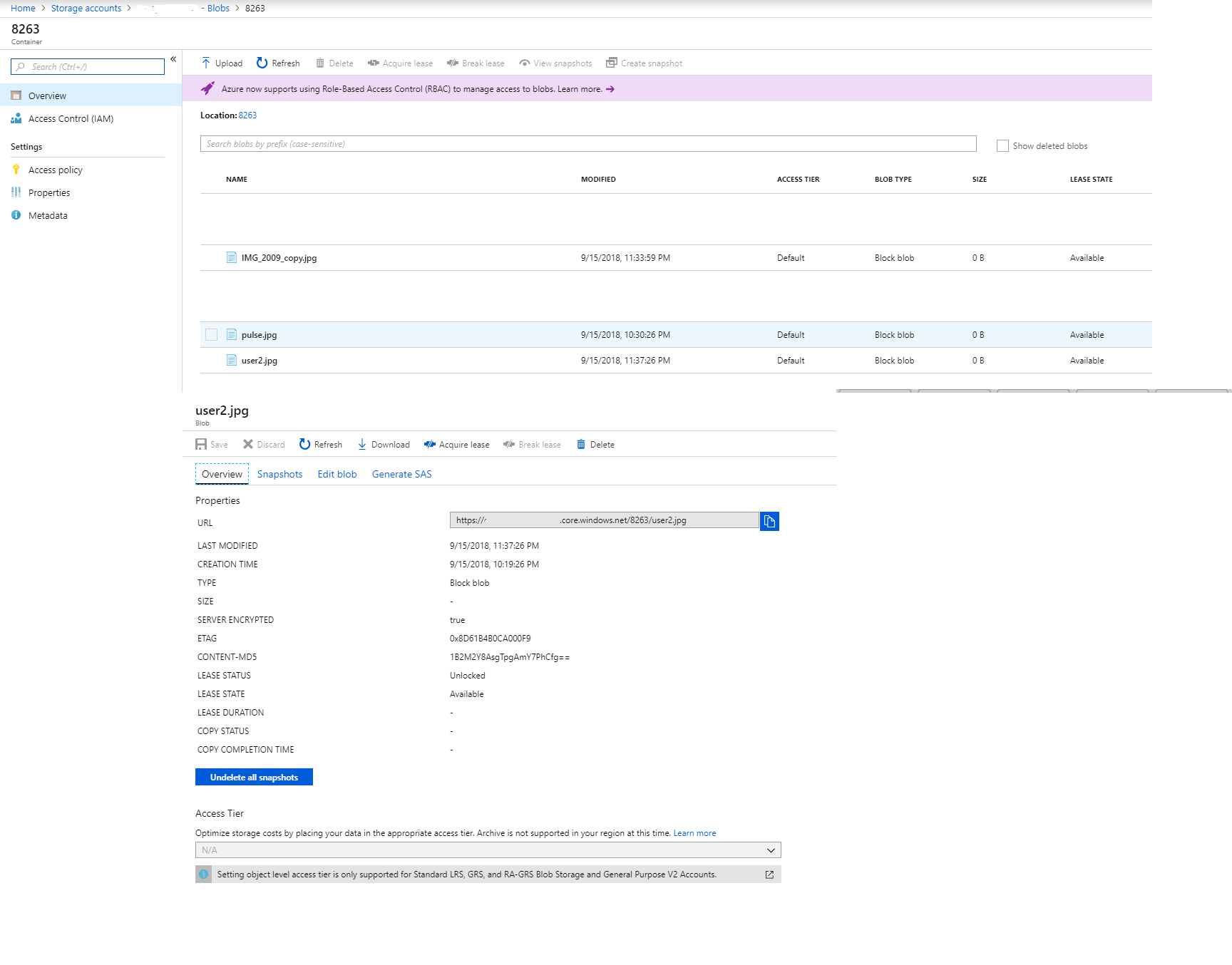 example of uploaded file
