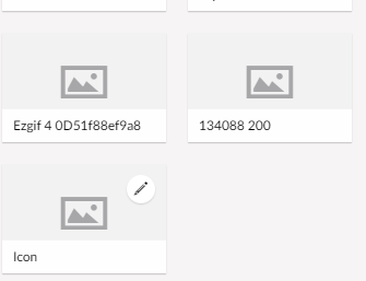 Uploaded Images