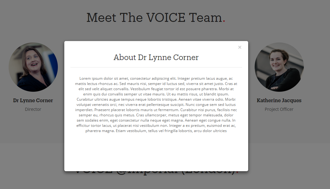 After clicking <strong>any</strong> of the members, it displays the bio for Lynne Corner
