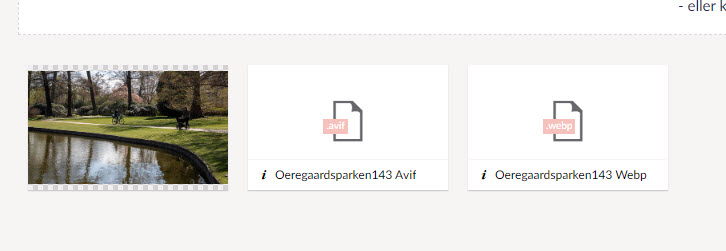the avif and webp veriosn of the images doesn´t show