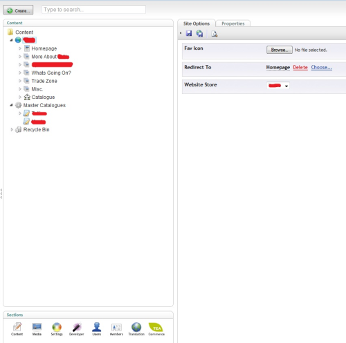The web store dropdown is equal to the first Master Catalogues