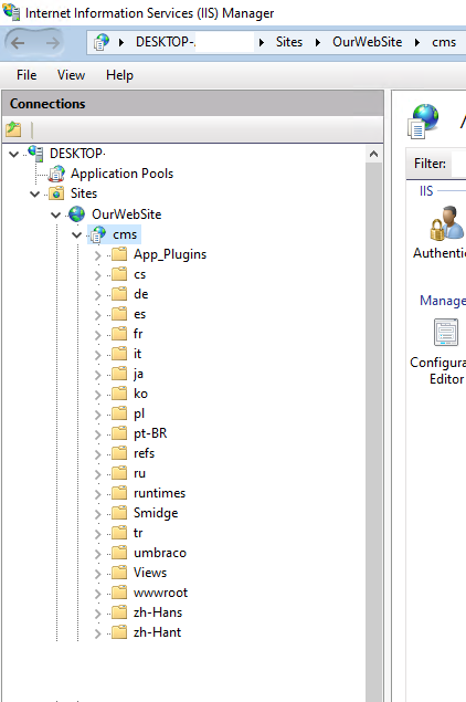 IIS web site application