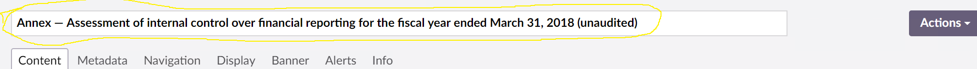 Umbraco text box for the page name