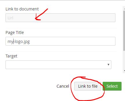 Link Dialog