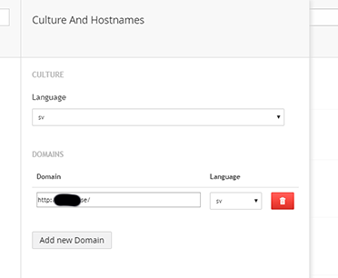 Culture and domain are set for each language version