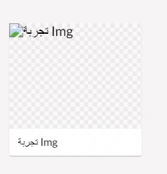 Broken Image in Backoffice