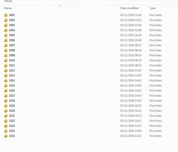 Inside media library folder
