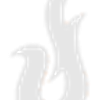 UmbracoFlare