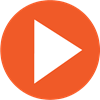 Videolizer