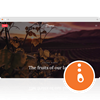 Stroma Theme