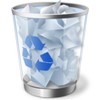 Recycle Bin Manager